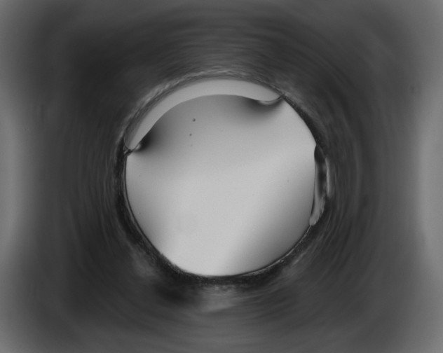 X0000084540252200703231720