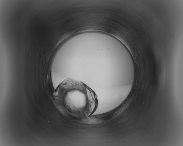 X0000084540253200703231720