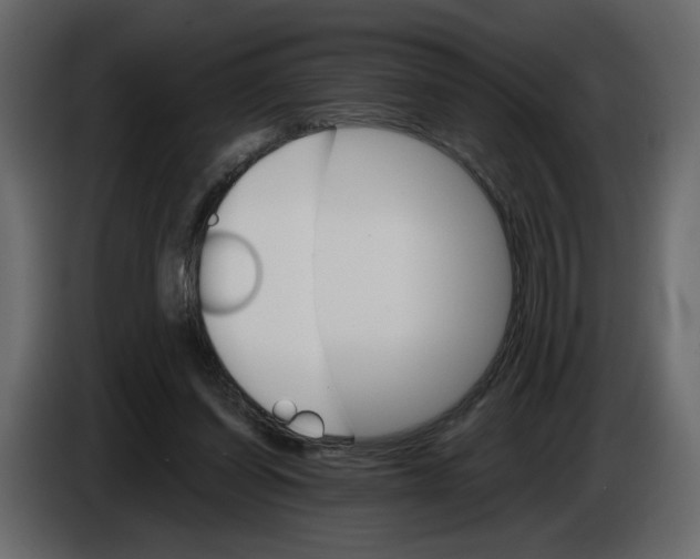 X0000084540254200703231720