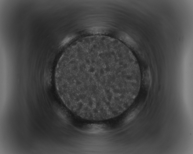 X0000084540255200703231720