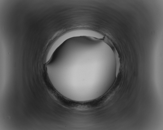 X0000084540256200703231720