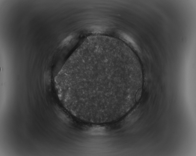 X0000084540257200703231720