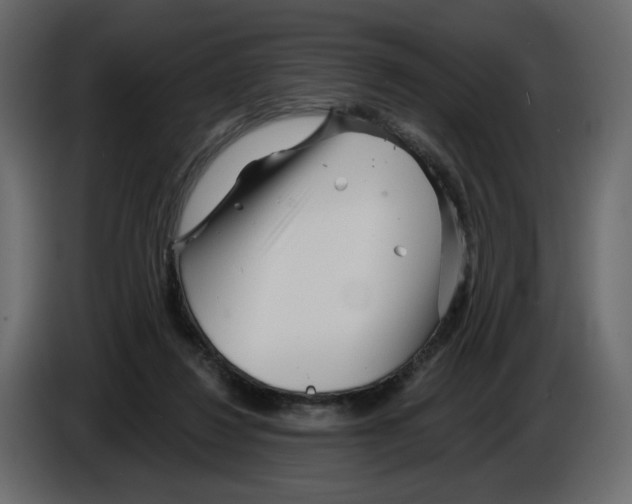 X0000084540260200703231720