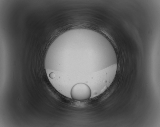 X0000084540261200703231720