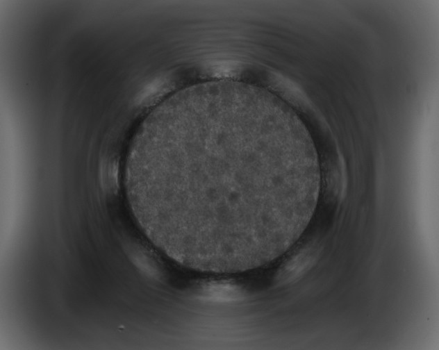 X0000084540262200703231720