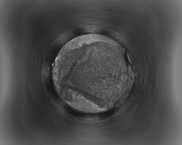 X0000084540263200703231721