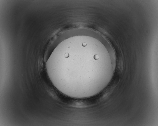 X0000084540264200703231721