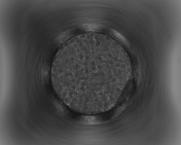 X0000084540265200703231721