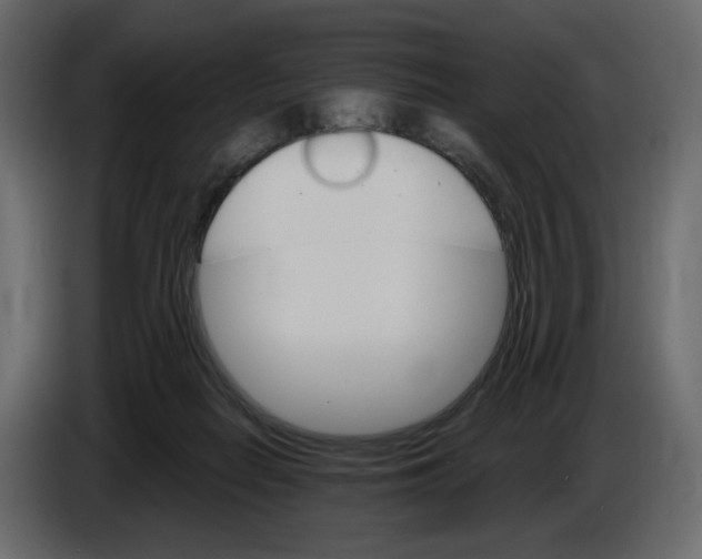 X0000084540266200703231721