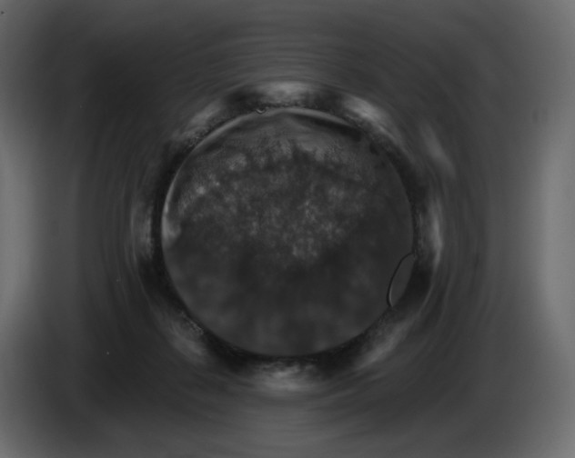 X0000084540267200703231721