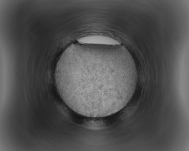 X0000084540270200703231721