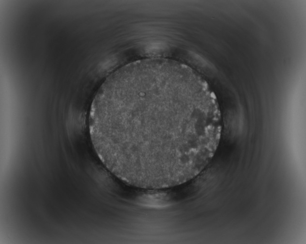 X0000084540278200703231721