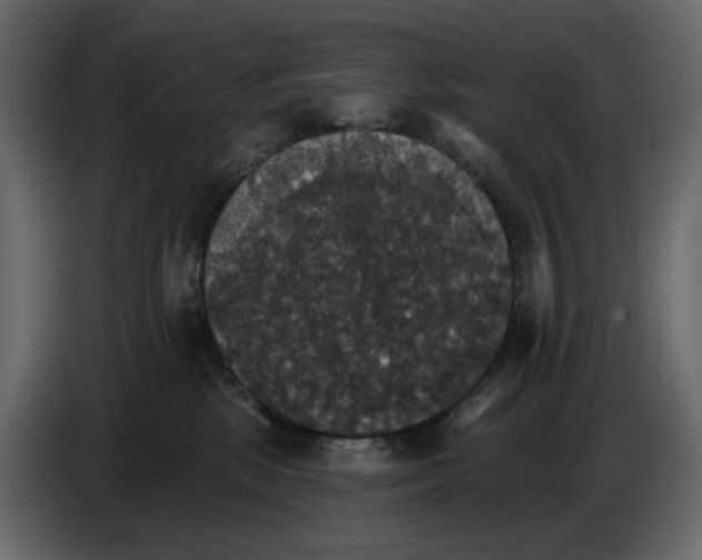 X0000084540281200703231721