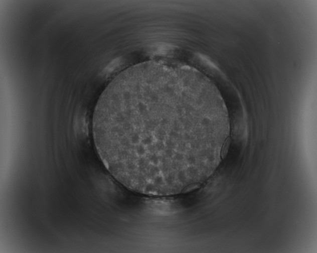 X0000084540282200703231721