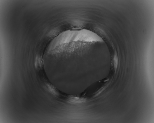 X0000084540285200703231721