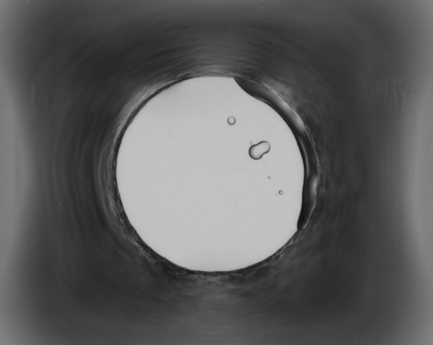 X0000084540289200703231720