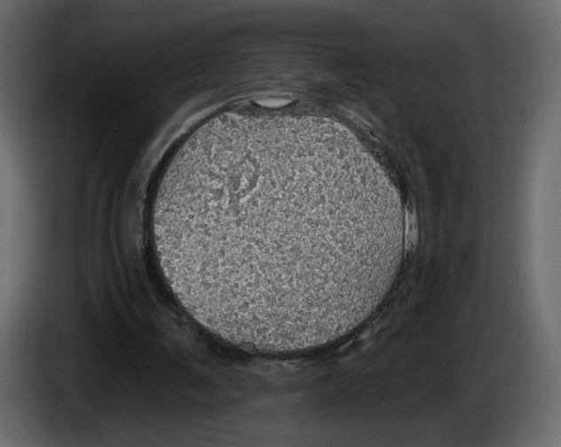 X0000084540291200703231720