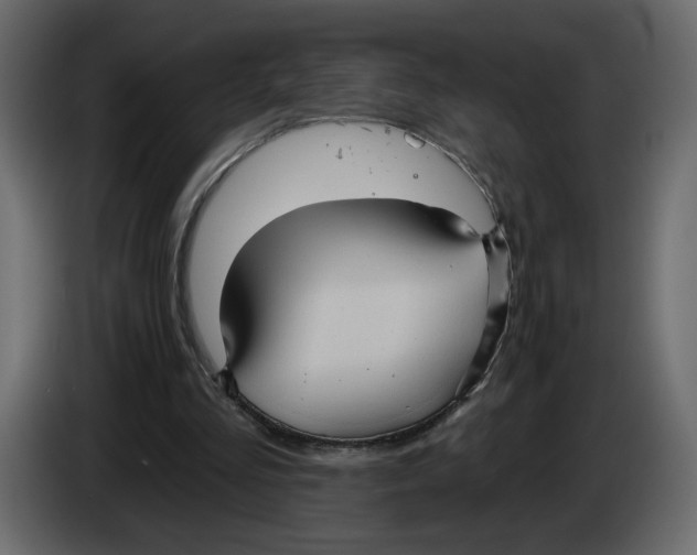 X0000084540293200703231720