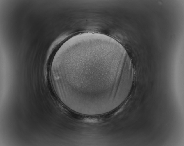 X0000084540294200703231720