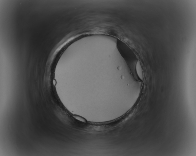 X0000084540295200703231720