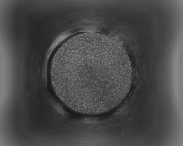 X0000084540296200703231720