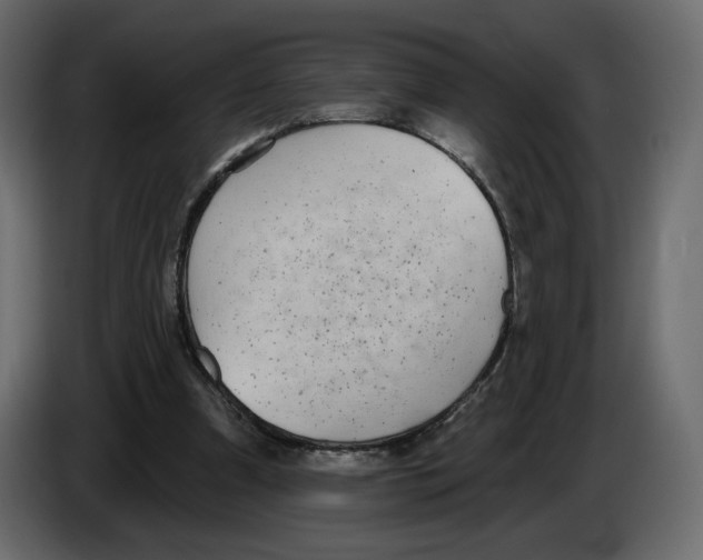 X0000084540297200703231720