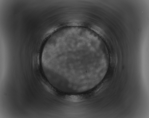 X0000084540302200703231720