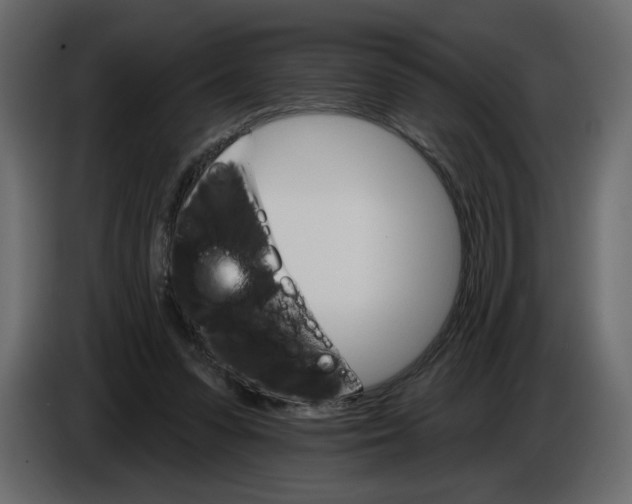 X0000084540303200703231720