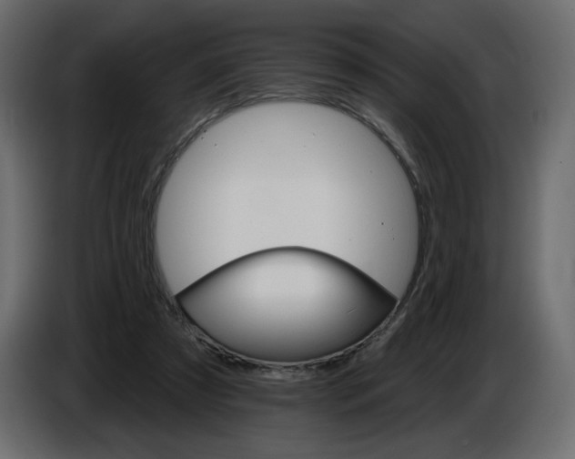 X0000084540305200703231720