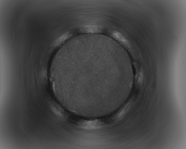 X0000084540306200703231720