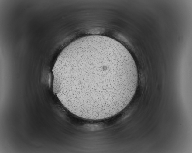 X0000084540307200703231720