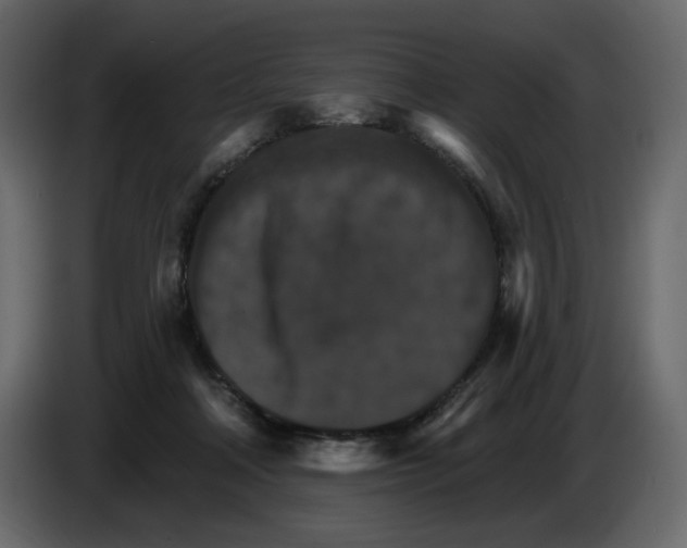 X0000084540314200703231720