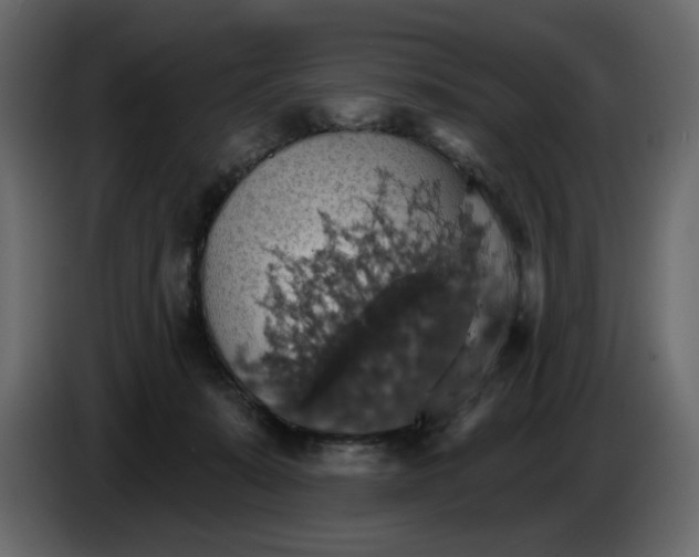 X0000084540319200703231720