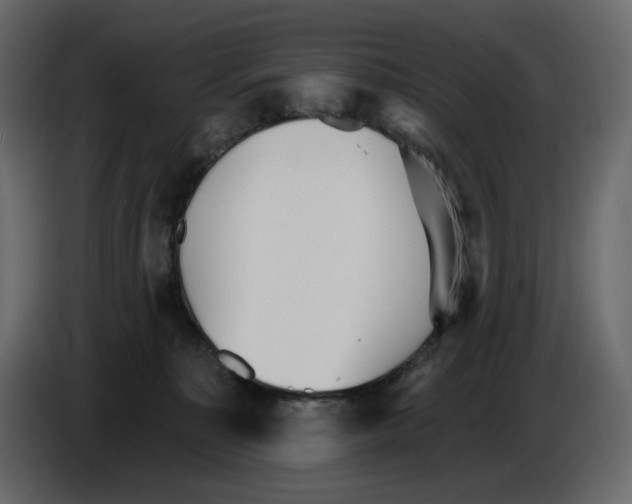 X0000084540323200703231720