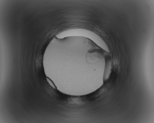 X0000084540325200703231720