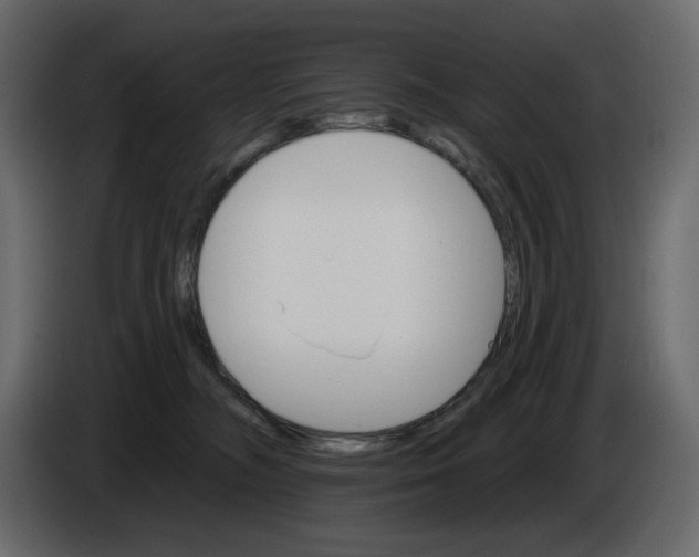 X0000084540326200703231720