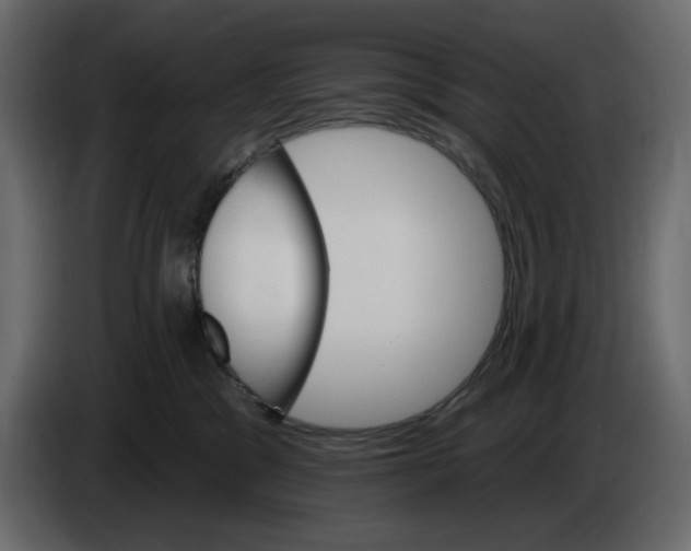 X0000084540329200703231720