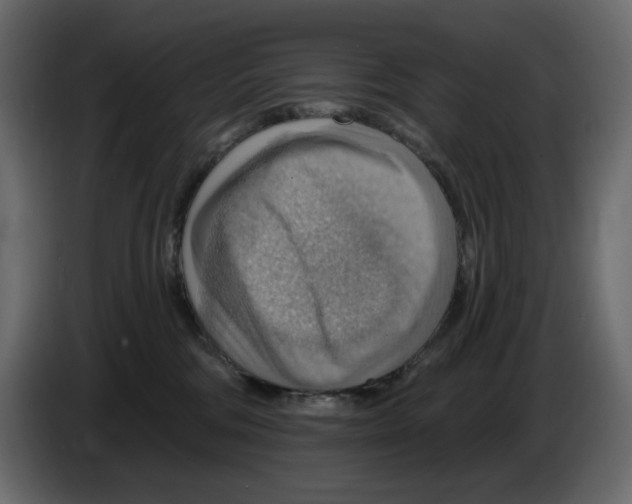 X0000084540330200703231720