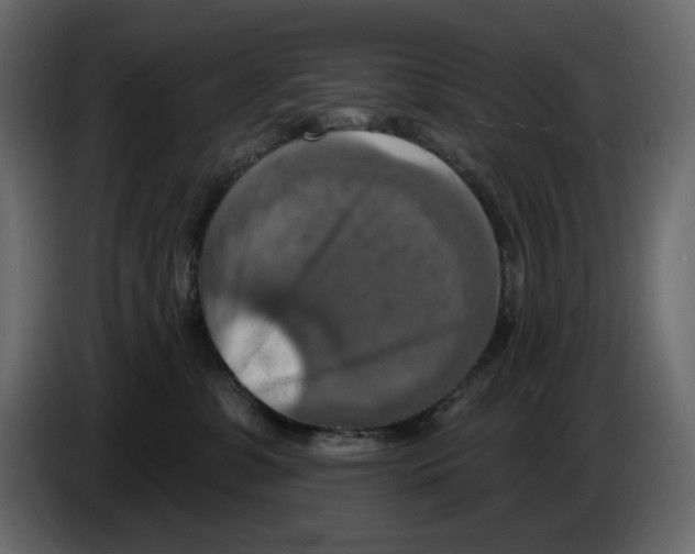 X0000084540331200703231719