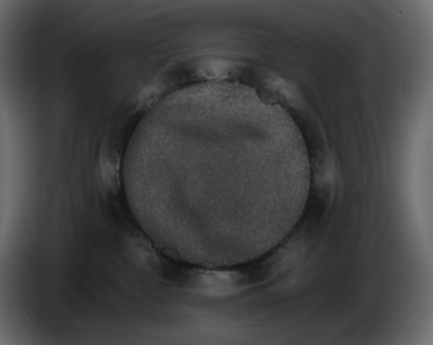 X0000084540332200703231719