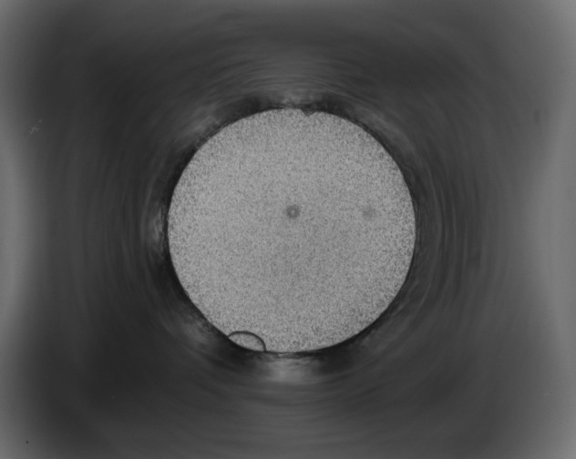 X0000084540336200703231719