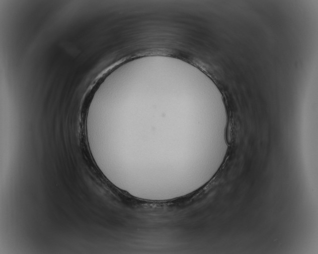 X0000084540338200703231719