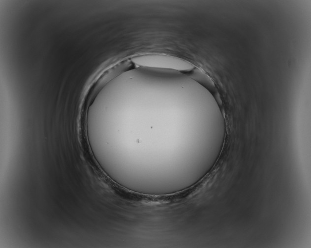 X0000084540340200703231719