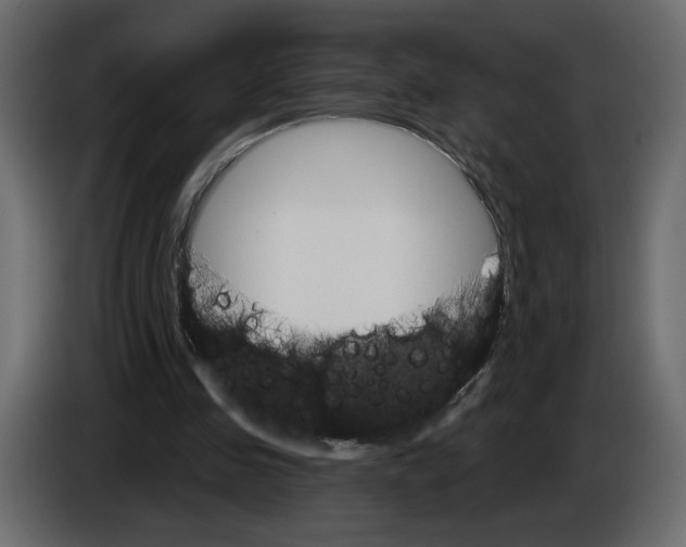 X0000084540341200703231719