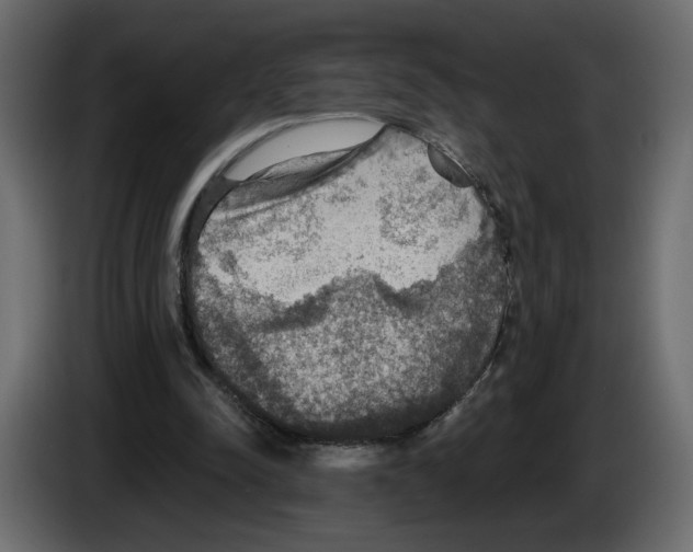 X0000084540342200703231719