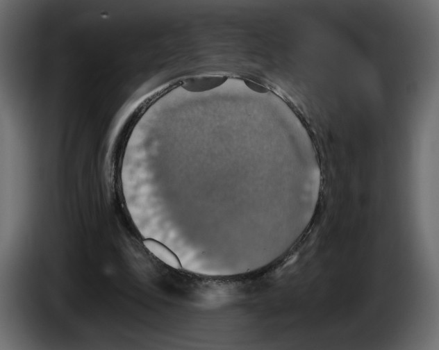 X0000084540343200703231719