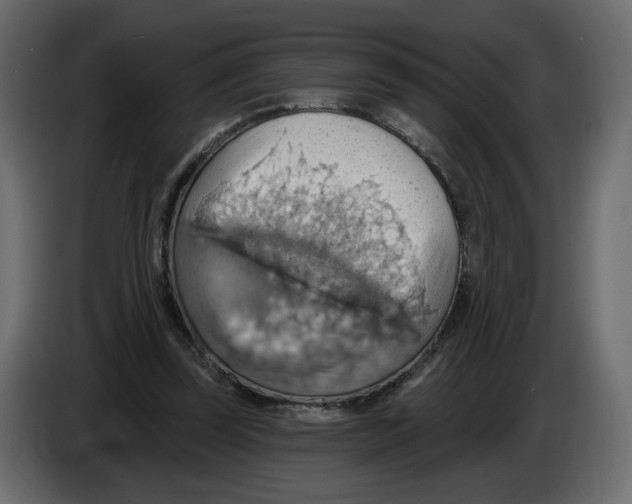 X0000084540347200703231719