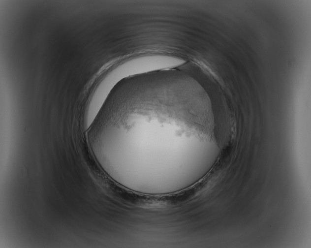 X0000084540348200703231719