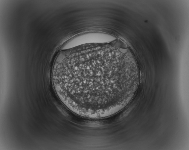 X0000084540349200703231719