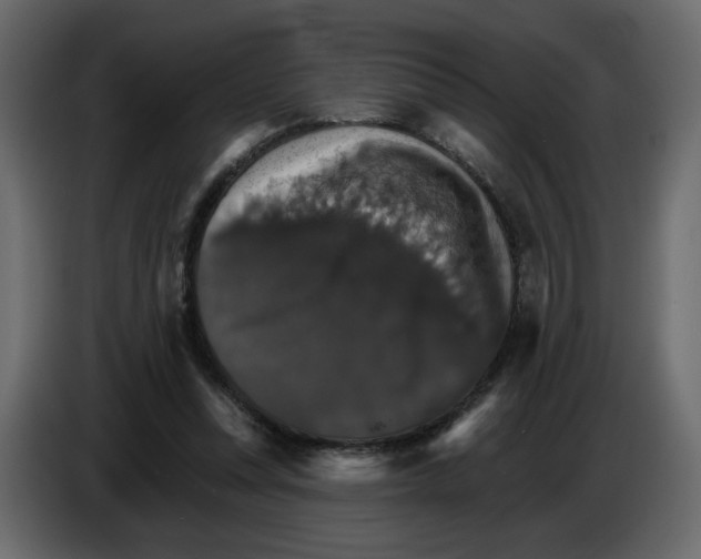 X0000084540351200703231719